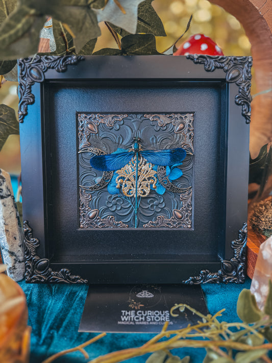 Blue Steam Glory Damselfly Moons - The Curious Witch Store