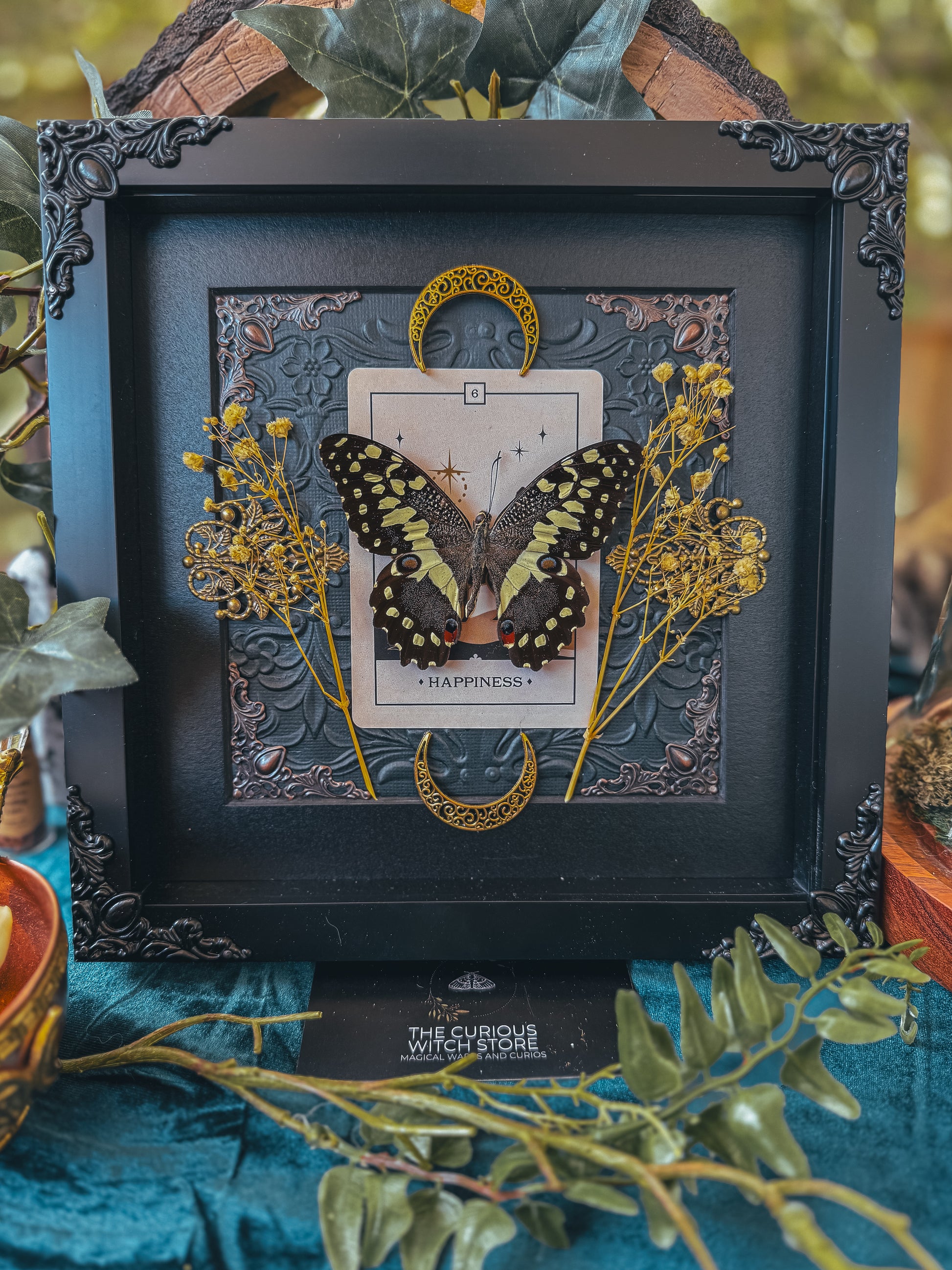 Papilio Demodocus - Happiness - The Curious Witch Store