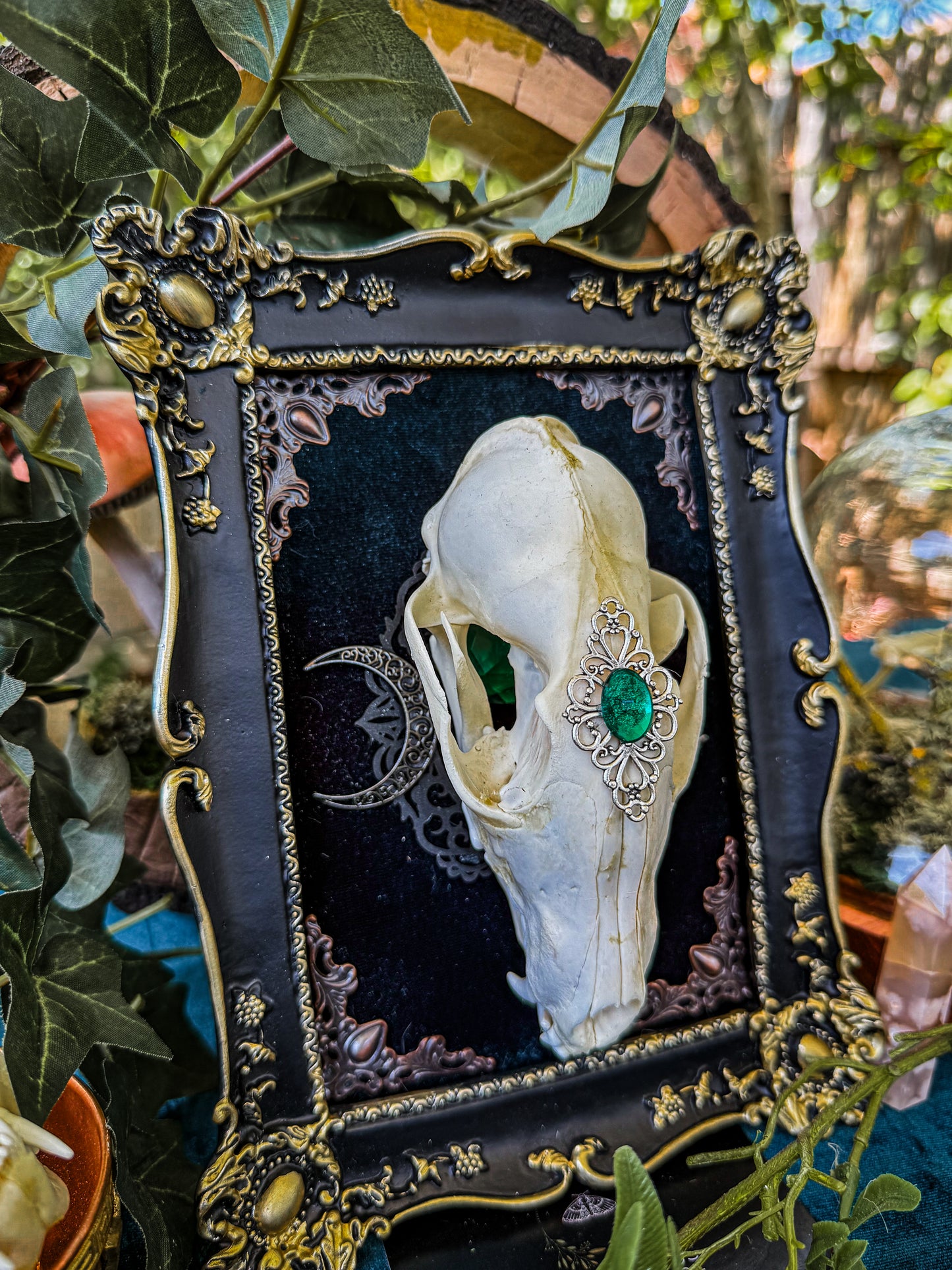 Mounted Fox Skull - Regal B