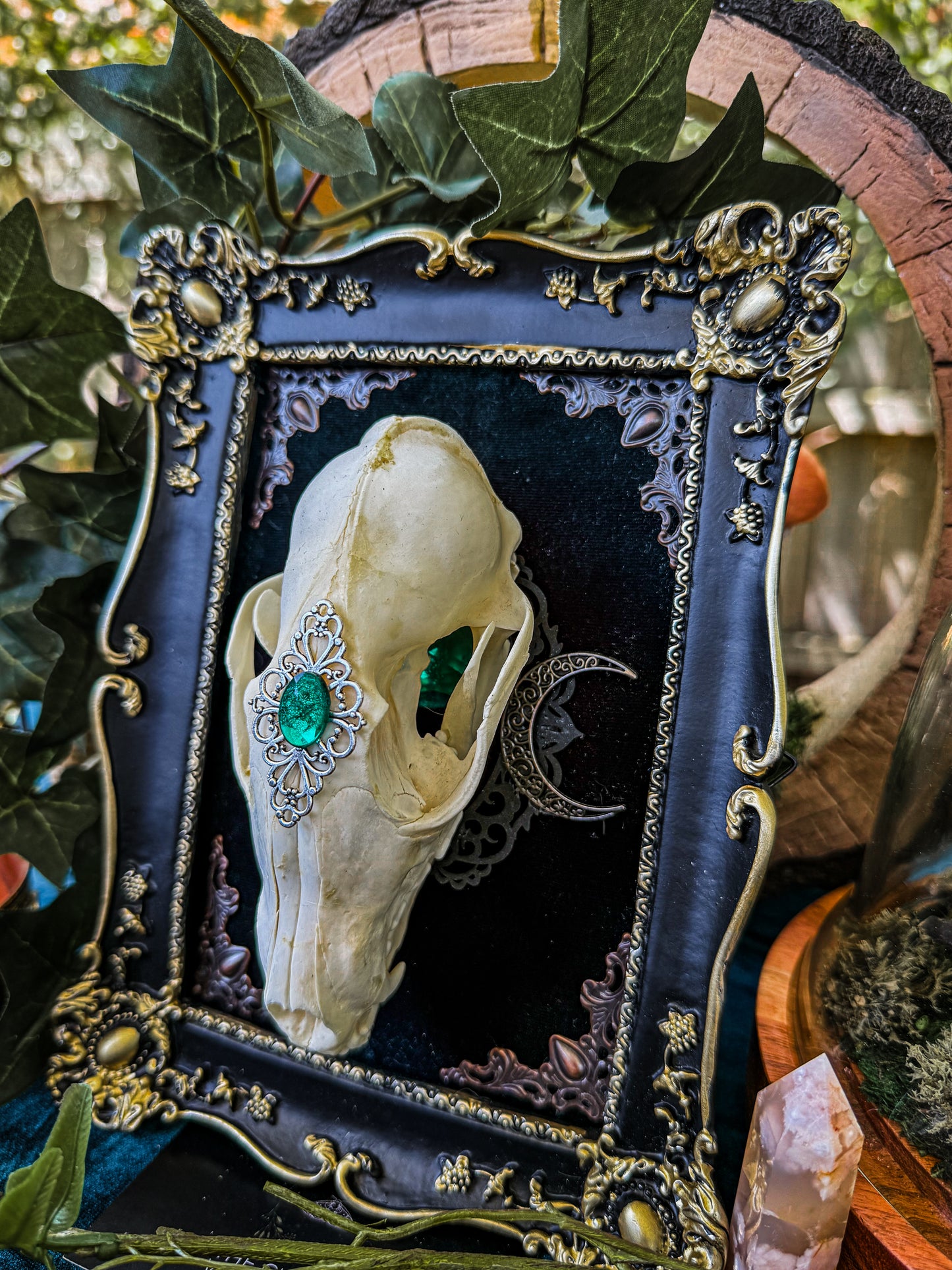 Mounted Fox Skull - Regal B