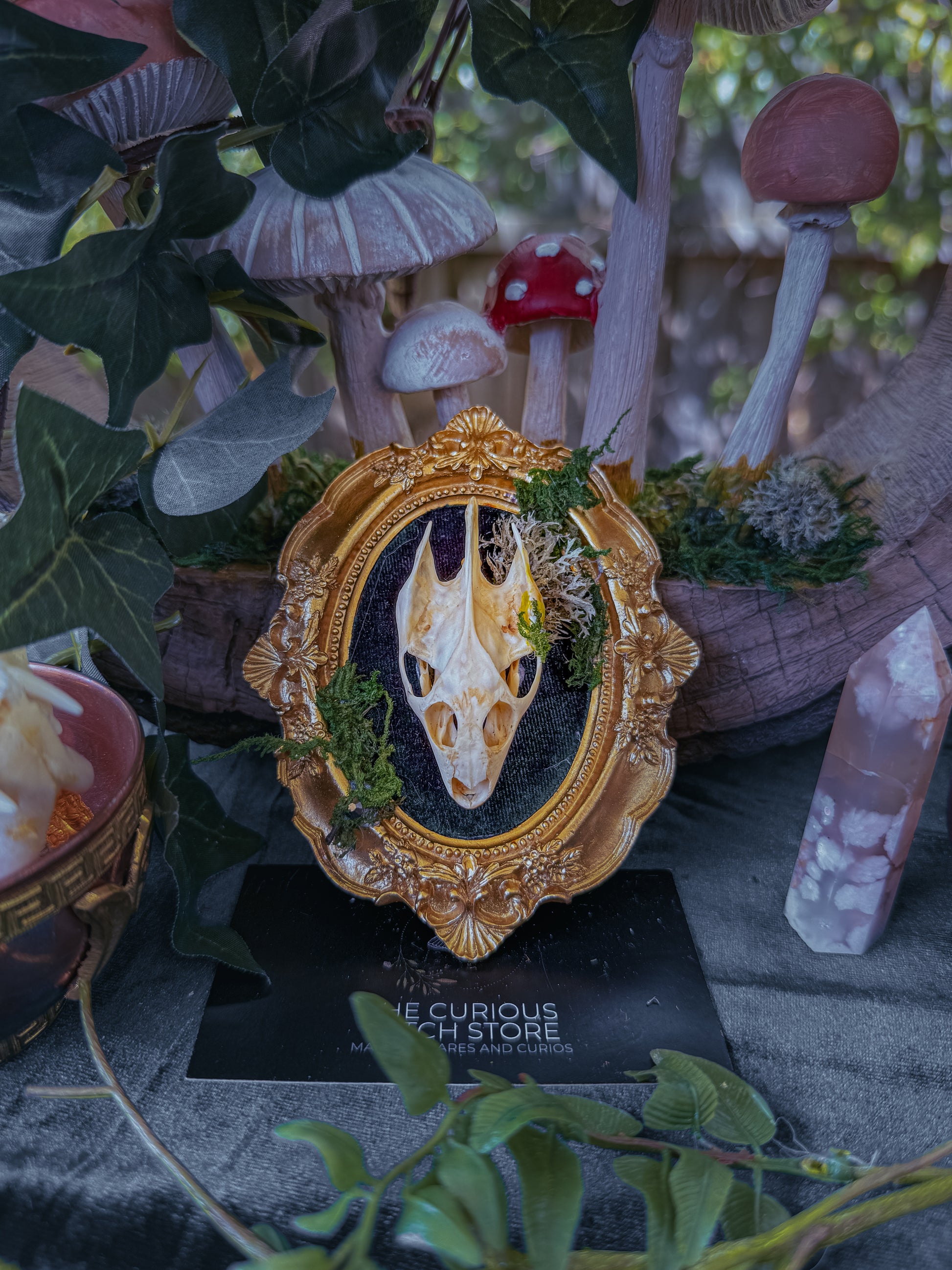 Mounted Turtle Skull - Mini Overgrown 3 - The Curious Witch Store