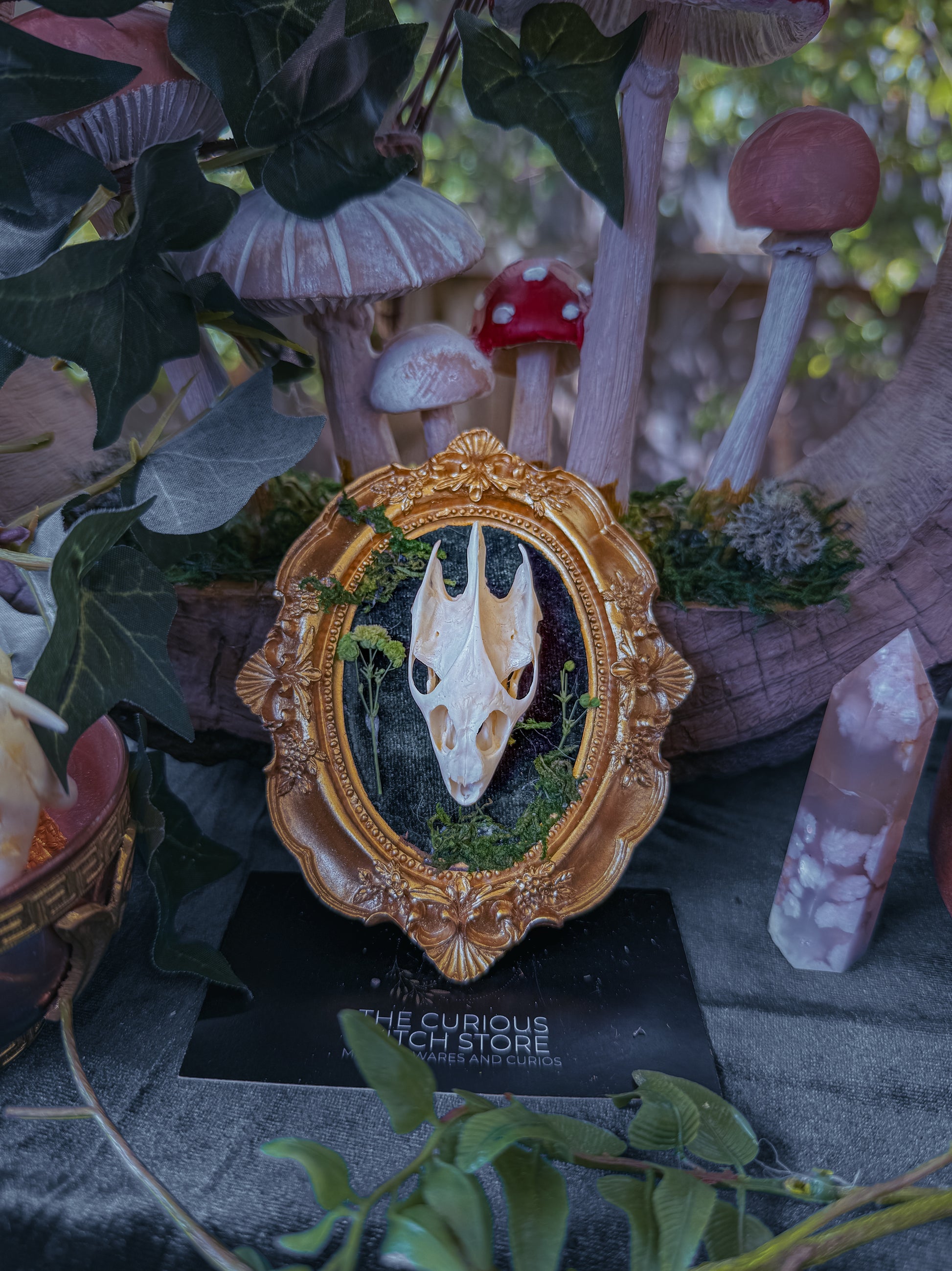 Mounted Turtle Skull - Mini Overgrown 8 - The Curious Witch Store