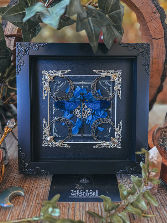 Blue Steam Glory Damselfly - Tarot - The Curious Witch Store