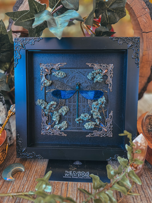 Blue Steam Glory Damselfly - Flowergarden - The Curious Witch Store