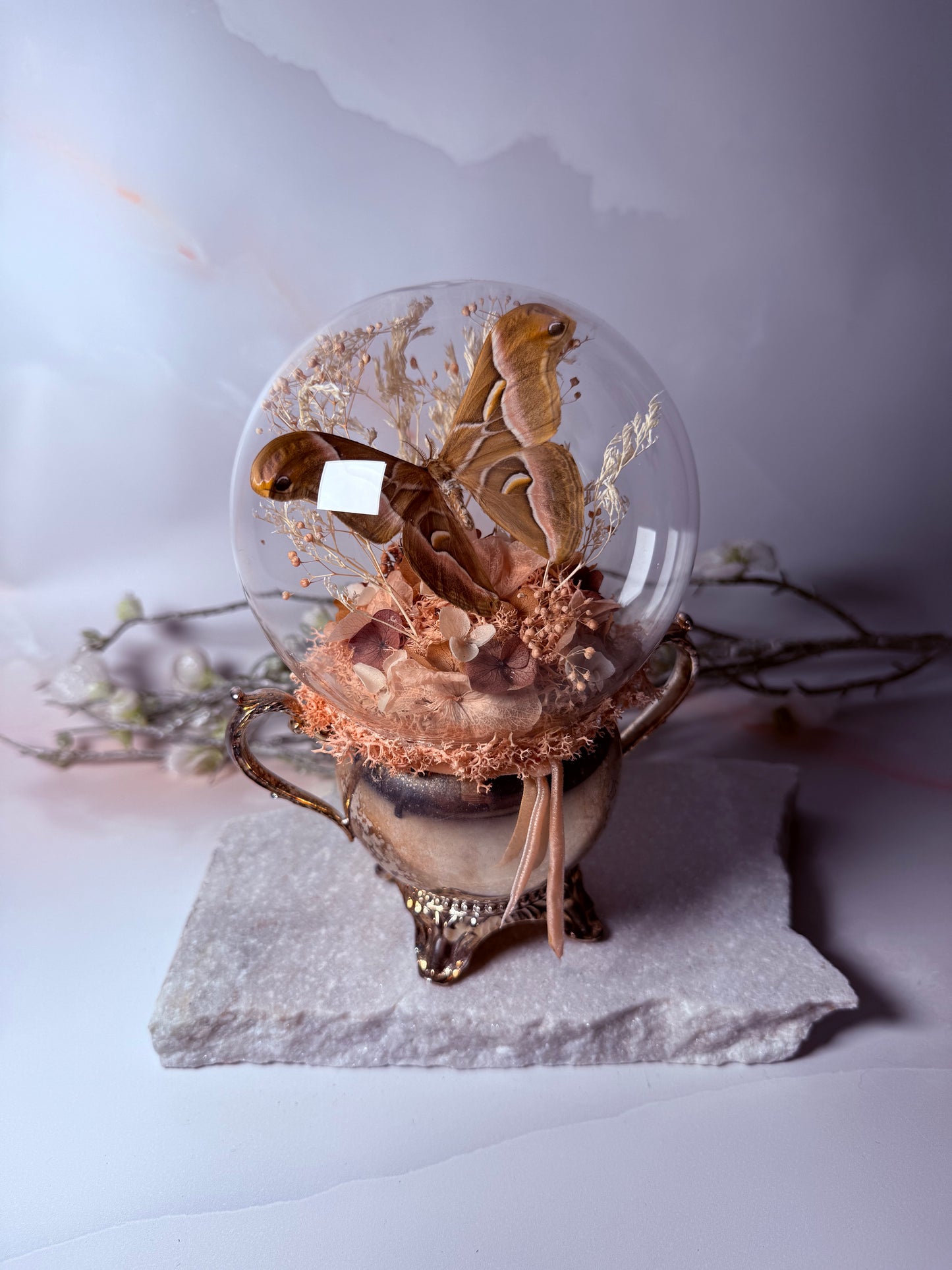 Samia Wangi - Antique Sugar Jar Dome