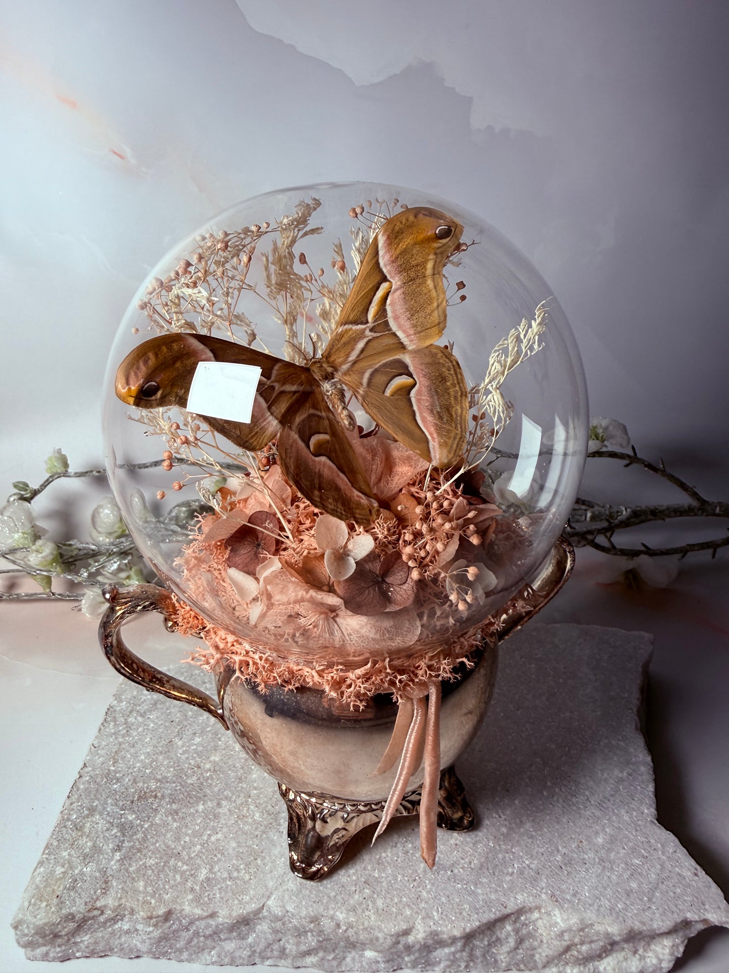 Samia Wangi - Antique Sugar Jar Dome